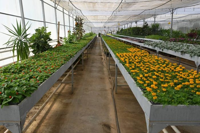 Isparta Belediyesi Üretiyor, Isparta Çiçeklerle Güzelleşiyor