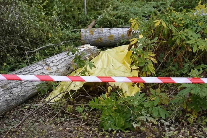 Ağaç Dalı Keserken Hayatını Kaybetti! Isparta’da Acı Olay