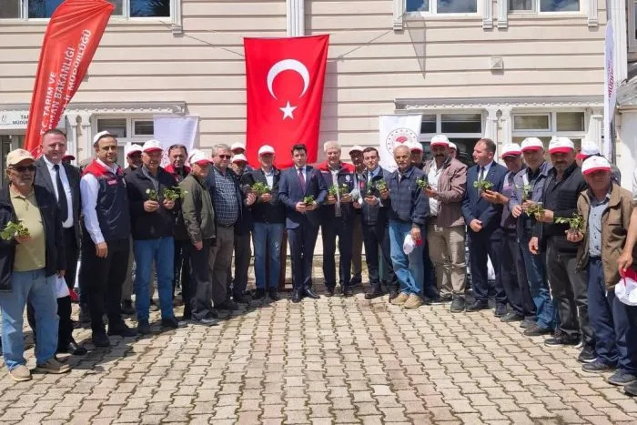 Isparta İl Özel İdaresi’nden Büyük Destek: Çilek Fidesi Dağıtıldı!