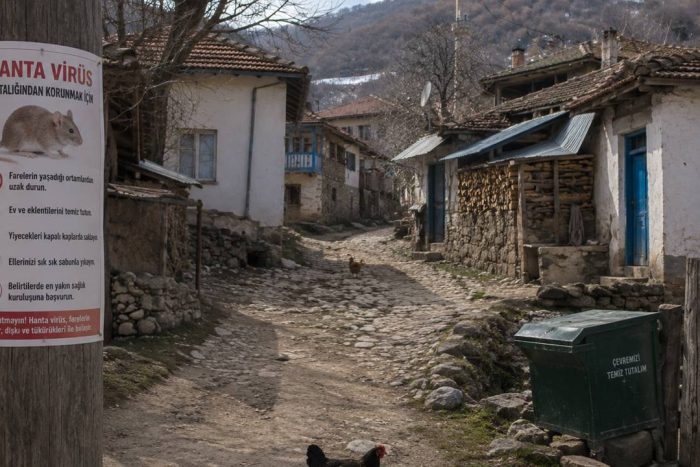 Gizli Tehlike Hantavirüs: Isparta’nın Kırsalında Yaşayanlar Dikkat! Korkmalı Mıyız?