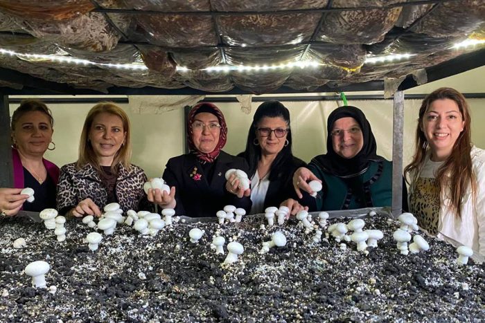 Gönen’de Kadın Emeği Meyvesini Verdi: İpek Eller Mantar Tesisi Açıldı!