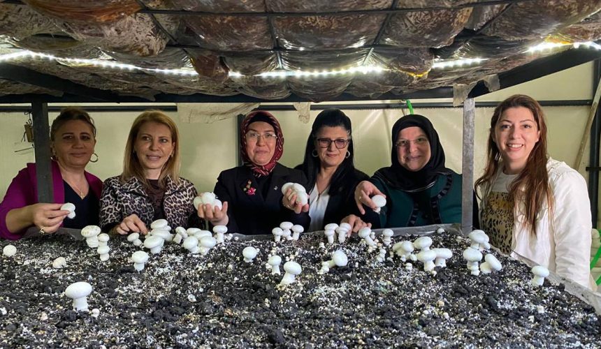 Gönen’de Kadın Emeği Meyvesini Verdi: İpek Eller Mantar Tesisi Açıldı!