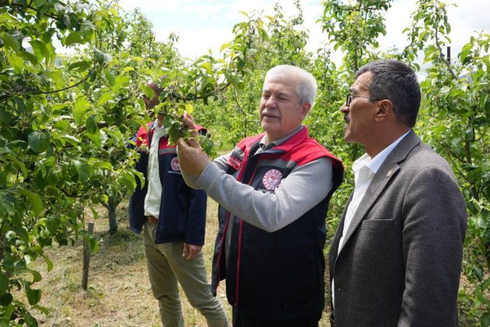 Isparta’da Dolu Hasarı İçin Düğmeye Basıldı: Ekipler Sahada!