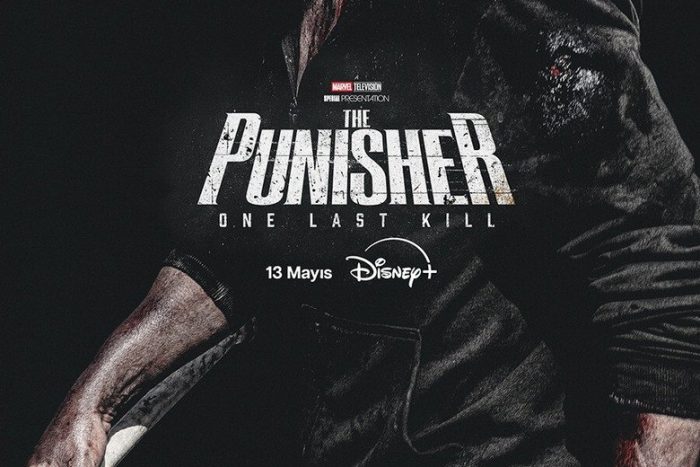 The Punisher: One Last Kill