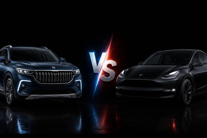 TOGG T10X mi, Tesla Model Y mi?