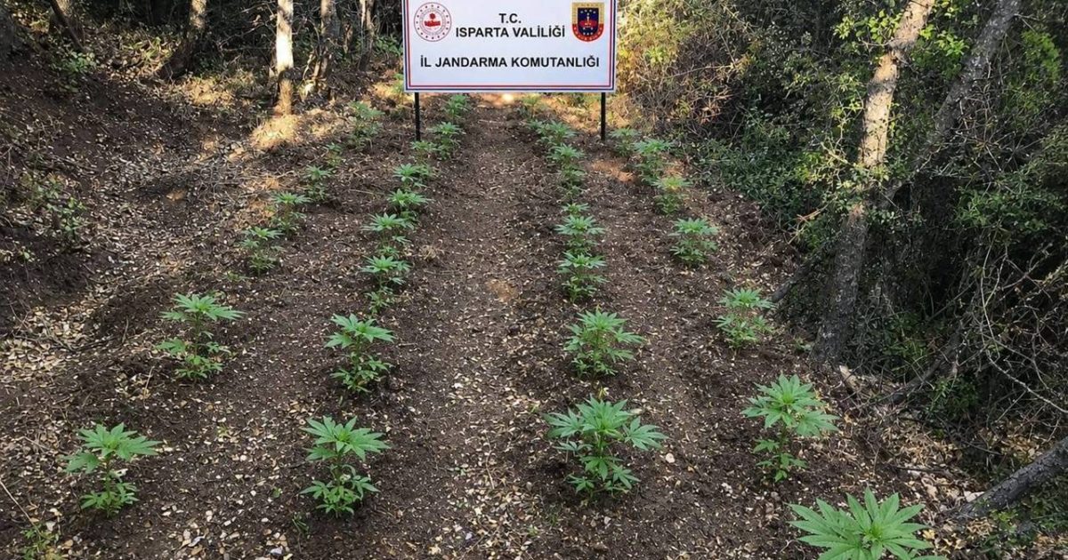Gelendost’ta Uyuşturucu Operasyonu: Gözaltına Alınan 2 Şüpheli Tutuklandı