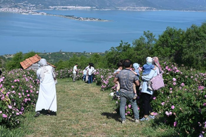 Gül Festivali Sorkuncak’ta Zirve Yaptı: Göl ve Gül Manzarası Eşliğinde Pedal Sesleri