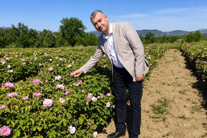 Gülün Başkentinde Hummalı Çalışma: Isparta Buram Buram “Gül” Kokuyor!