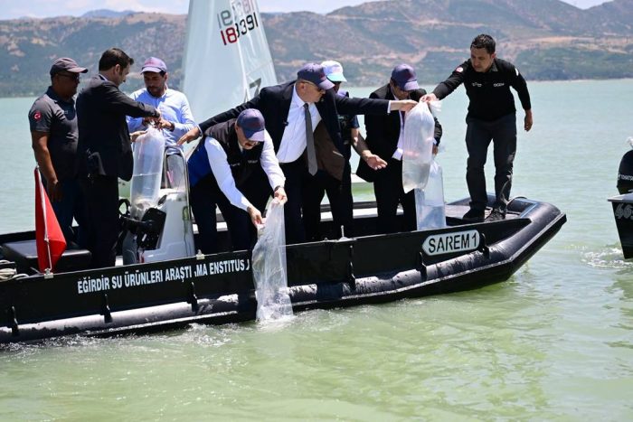 Eğirdir Gölü’ne Hem 100 Bin Balık Yavrusu Bırakıldı Hem de Müjdeli Haber Geldi