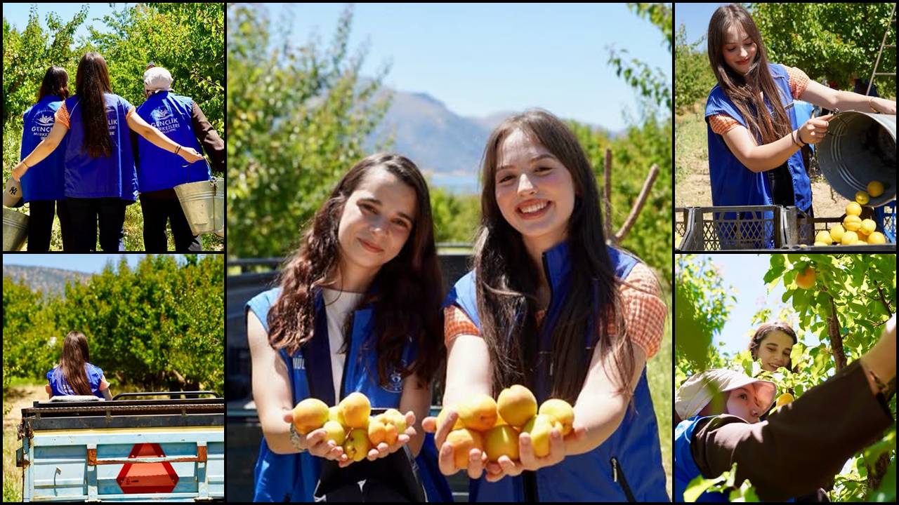 Isparta Gençlik Merkezi, gençlerin toplumsal dayanışma ve üretime katılımını artırmak amacıyla anlamlı bir saha etkinliğine imza attı. Gönüllü gençlerin katılımıyla Yalvaç ilçesinde düzenlenen "Gönüllü Hasat Etkinliği" kapsamında kayısı hasadı gerçekleştirildi.

Gençlerin tarımsal üretime destek olurken hem keyifli vakit geçirdiği hem de üretime katkı sağladığı etkinlik, renkli görüntülere sahne oldu.

Gönüllülüğün Birleştirici Gücü Sahada Yaşandı
Isparta Gençlik ve Spor İl Müdürlüğü tarafından yapılan açıklamada, gençlerin toprakla ve üretimle buluşmasının önemine dikkat çekilerek şu ifadelere yer verildi:

"Üretime destek olurken gönüllülük bilincini, dayanışmayı ve birlikte hareket etmenin değerini sahada bir kez daha deneyimledik. Toprağın bereketini paylaşırken hem üretime katkı sunduk hem de gönüllülüğün birleştirici gücünü hep birlikte yaşadık."

Yalvaç'taki kayısı bahçelerinde emeğini ve enerjisini paylaşan gönüllü gençler, birlik içinde çalışmanın ve yerel üretime doğrudan katkı sunmanın mutluluğunu yaşadı.