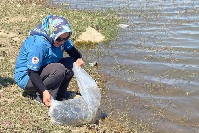 Isparta Göllerinde Balıklandırma Mesaisi: 375 Bin Yavru Sazan Göletlere Bırakıldı