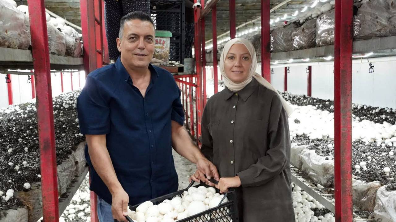 Isparta İl Tarım ve Orman Müdürlüğü, Kırsal Kalkınma Yatırımlarının Desteklenmesi Programı (KKYDP) 16. Etap kapsamında hibe desteği sağlanan Haskahraman Mantar Üretim Tesisi’nin üretime başladığını duyurdu.

Büyük Gökçeli Köyü’nde yatırımcı Beyhan Kahraman tarafından hayata geçirilen proje, toplam 19 milyon 836 bin TL yatırım tutarıyla tamamlandı. Proje kapsamında tesise 9 milyon 918 bin TL hibe desteği sağlandı.

1.494 metrekare kapalı alana sahip olan modern tesiste 8 üretim odası yer alırken, tesis yıllık 350 ton üretim ve 1.166 ton kompost kullanım kapasitesine sahip.

İl Tarım ve Orman Müdürlüğü yetkilileri, hayata geçirilen yatırımın Isparta'da tarımsal üretimin artırılmasına, istihdamın güçlenmesine ve kırsal kalkınmaya önemli katkı sunacağını belirterek üreticilerin yanında olmaya devam edeceklerini vurguladı.