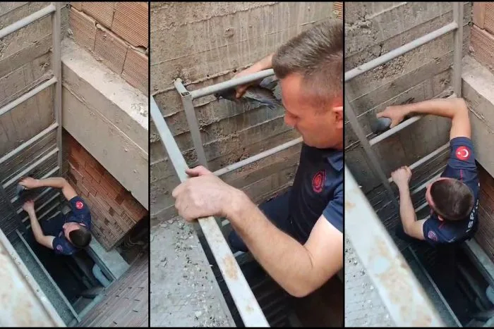İnşaatta Mahsur Kalan Güvercin İtfaiye Ekiplerince Kurtarıldı