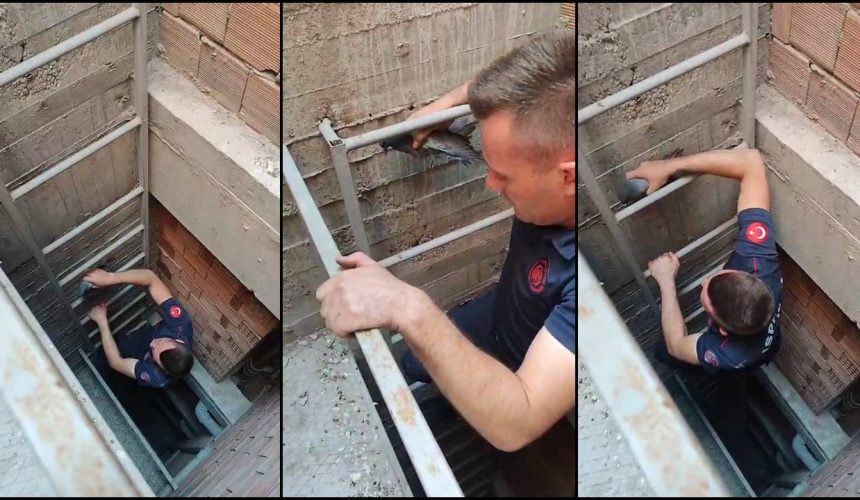 İnşaatta Mahsur Kalan Güvercin İtfaiye Ekiplerince Kurtarıldı
