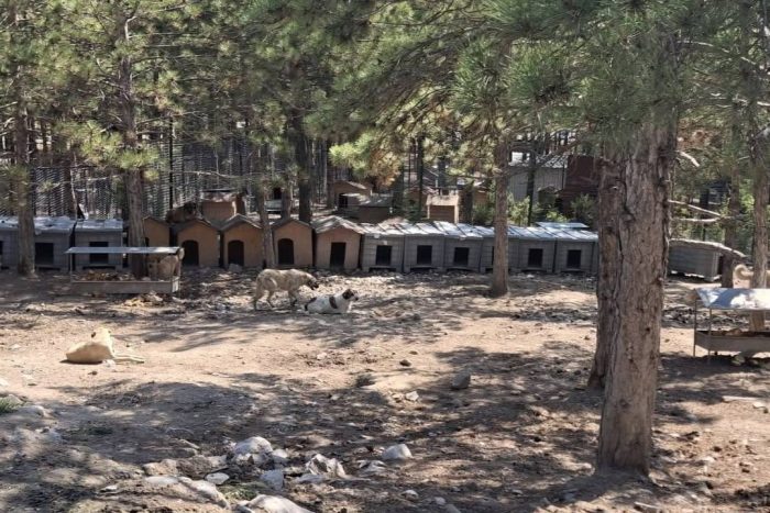 DKMP ve Valilik Ekiplerinden Isparta Belediyesi Hayvan Barınağına İnceleme