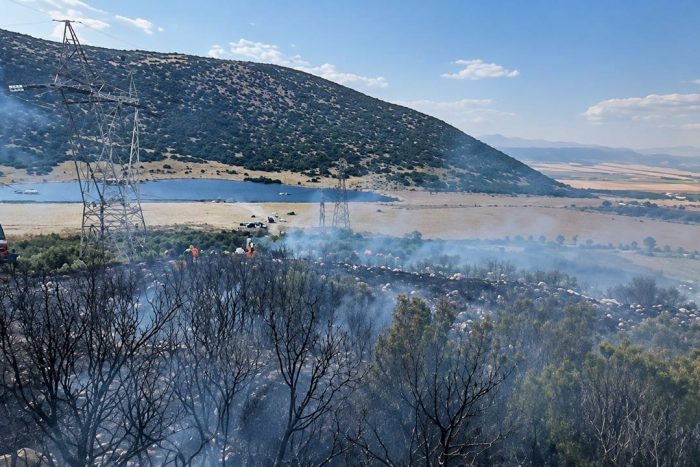 Isparta’da Korkutan Orman Yangını: Ekipler Zamanında Müdahale Etti