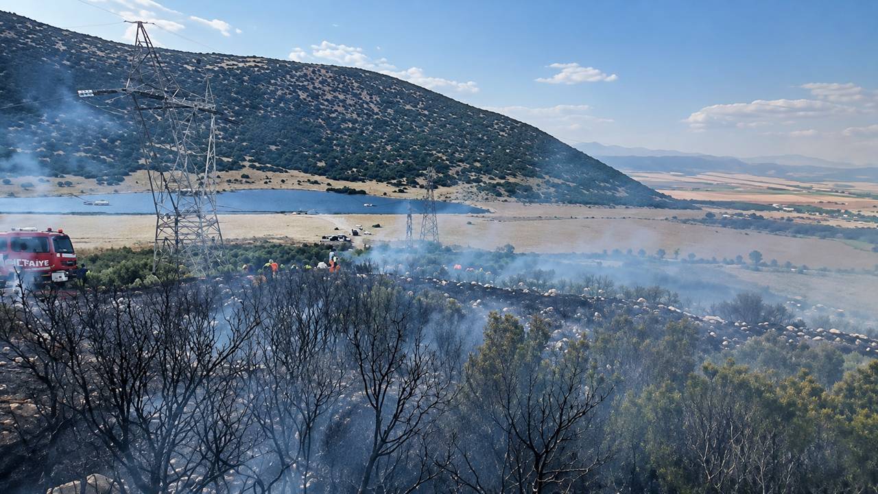 Isparta'da Korkutan Orman Yangını: Ekipler Zamanında Müdahale Etti