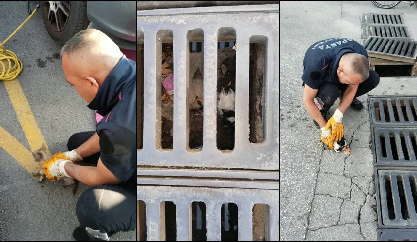 Isparta İtfaiyesinden Kedileri Kurtarma Seferberliği: Mazgal ve Otomobil Kaputundan Çıkarıldılar