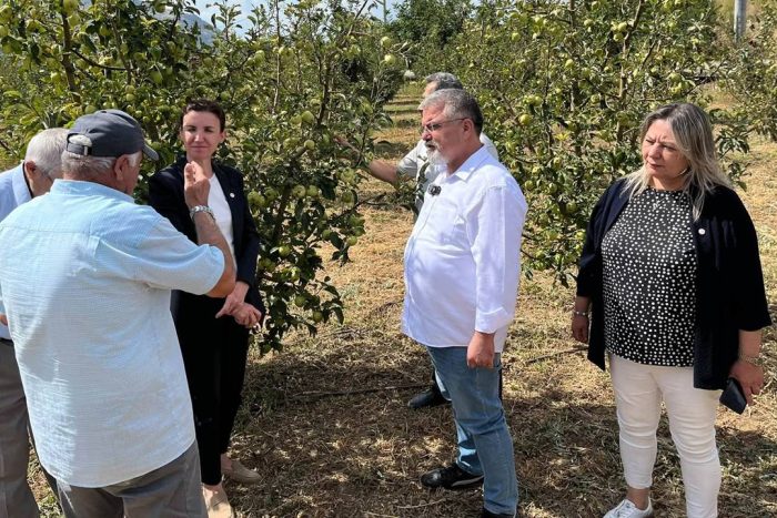 Yeni Parti Heyetinden Gelendost’a Tarımsal Hasar Ziyareti: Dondan ve Doludan Zarar Gören Çiftçiler Dinlendi