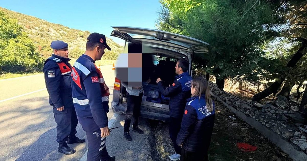 Eğirdir’de Yasa Dışı Balık Nakline 47 Bin Lira Ceza