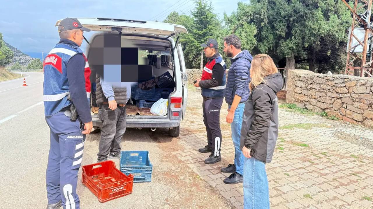 Eğirdir İlçe Tarım ve Orman Müdürlüğü ile Eğirdir Jandarma Asayiş Bot Komutanlığı ekipleri, Eğirdir Gölü’ndeki doğal yaşamın ve su ürünleri popülasyonunun korunmasına yönelik denetimlerini aralıksız sürdürüyor. Ekipler, gelen bir ihbar üzerine 16 Ekim 2026 tarihinde Barla köyü Bağcıyazı mevkiinde gece saatlerinde yol kontrolü gerçekleştirdi.
114 Kilo Kaçak Balık Ele Geçirildi
Şüphe üzerine durdurulan Volkswagen Transporter marka bir hafif ticari araçta detaylı su ürünleri kontrolü yapıldı. Yapılan incelemelerde, sürücü A.G.'nin Eğirdir Gölü'nde avlanması yasak olan yaklaşık 17 kilogram sudak balığı ile 97 kilogram gümüşi havuz balığını herhangi bir menşe belgesi olmaksızın naklettiği tespit edildi.
47 Bin 397 TL İdari Para Cezası
Yasa dışı yollarla temin edilen ve nakledilen toplam 114 kilogram balığa 1380 Sayılı Su Ürünleri Kanunu uyarınca el konuldu. Şüpheli A.G. hakkında ise ilgili kanun maddeleri gereğince 47 bin 397 TL idari para cezası kesilerek adli ve idari işlem başlatıldı.
Yetkililer, Eğirdir Gölü ve çevresinde ekolojik dengeyi tehdit eden yasa dışı avcılık ve belgesiz nakil faaliyetlerine karşı denetimlerin kararlılıkla devam edeceğini bildirdi.