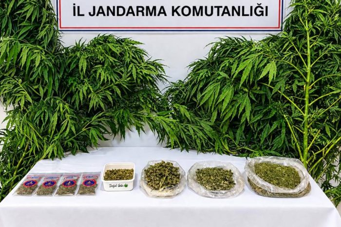 Isparta Jandarmasından Uyuşturucu Tacirlerine Darbe: 62 Şüpheli Yakalandı, 5 Tutuklama!