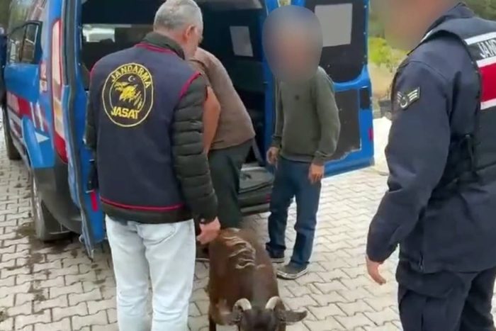 Isparta’da Kamera Ağına Takılan Hayvan Hırsızları Tutuklandı