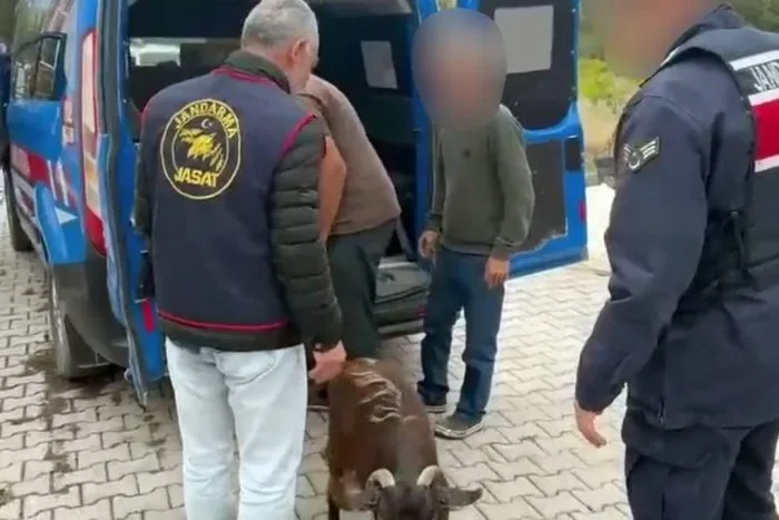 Isparta’da Kamera Ağına Takılan Hayvan Hırsızları Tutuklandı